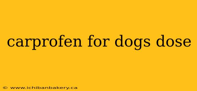 carprofen for dogs dose