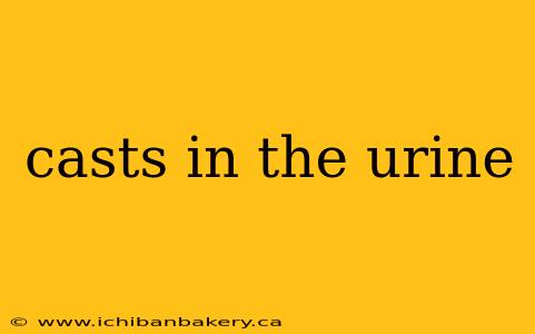 casts in the urine