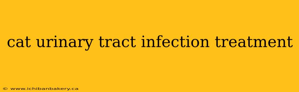 cat urinary tract infection treatment