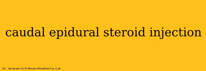 caudal epidural steroid injection