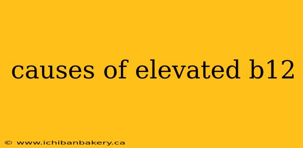 causes of elevated b12