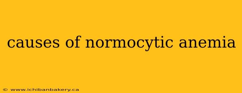 causes of normocytic anemia