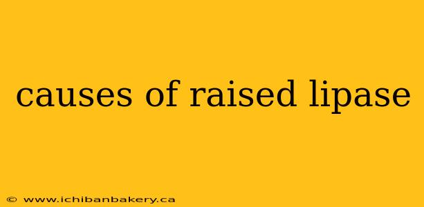 causes of raised lipase
