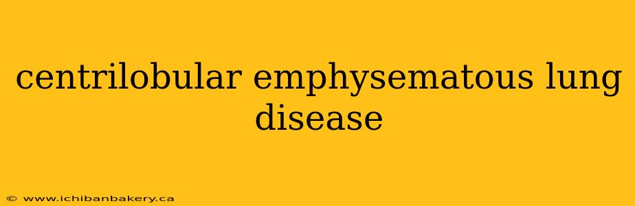 centrilobular emphysematous lung disease