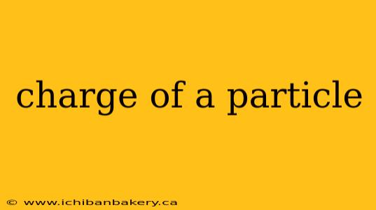 charge of a particle
