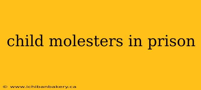child molesters in prison
