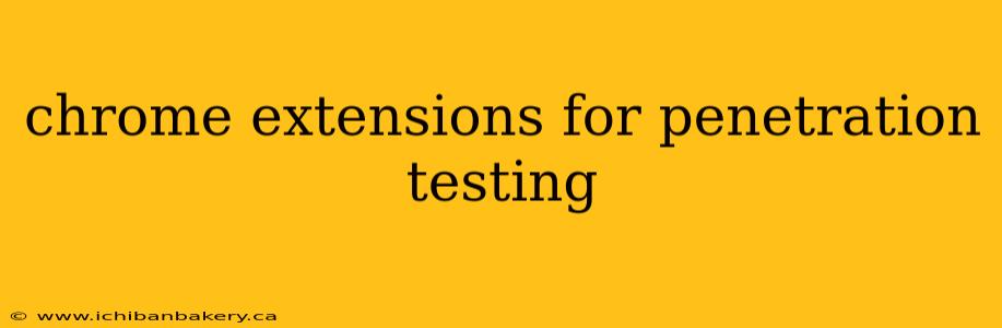 chrome extensions for penetration testing