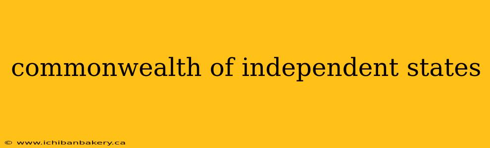 commonwealth of independent states