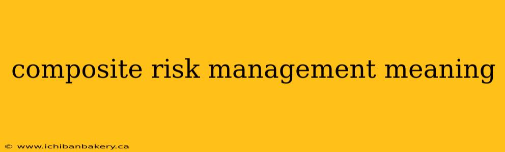 composite risk management meaning