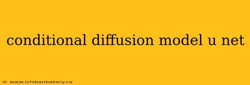 conditional diffusion model u net
