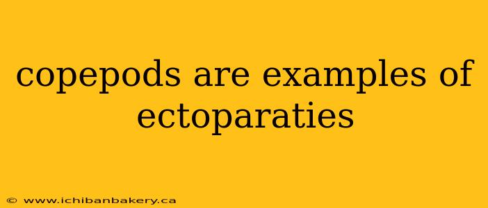 copepods are examples of ectoparaties