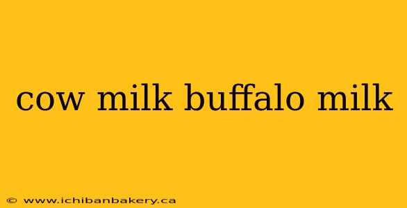 cow milk buffalo milk