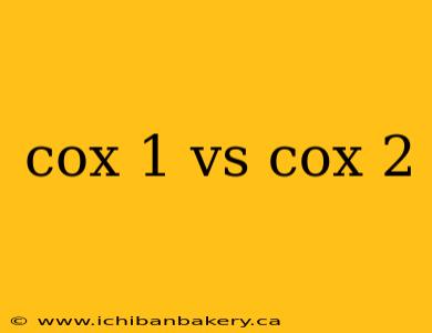 cox 1 vs cox 2