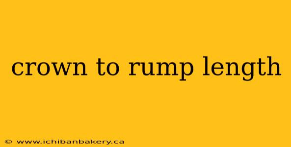 crown to rump length