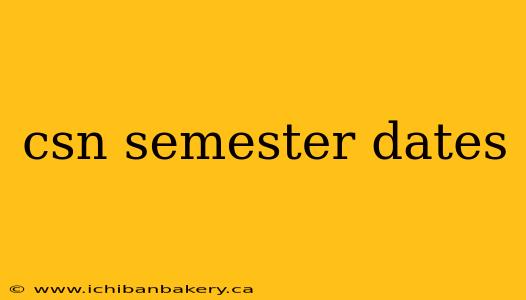 csn semester dates
