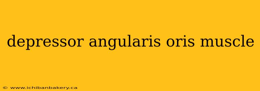 depressor angularis oris muscle