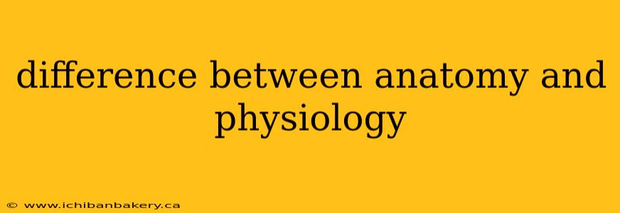 difference between anatomy and physiology
