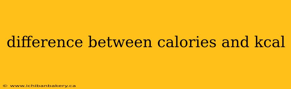 difference between calories and kcal