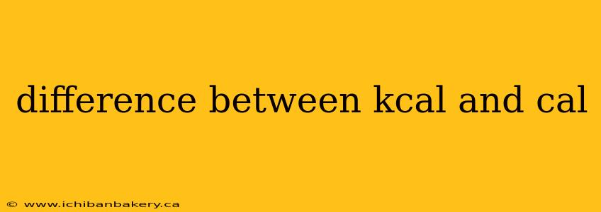 difference between kcal and cal