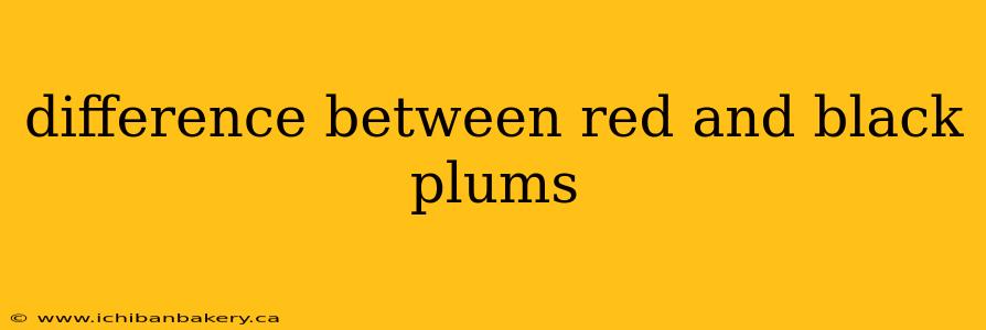difference between red and black plums