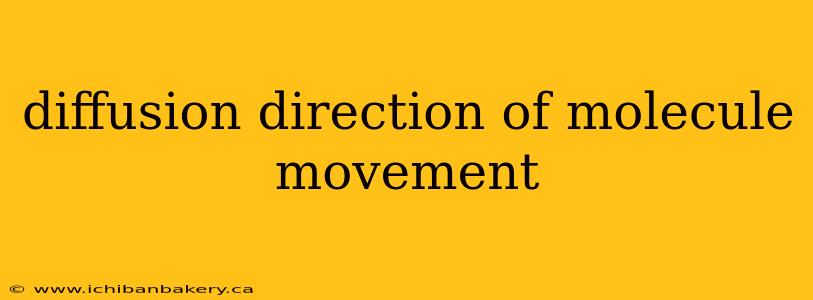 diffusion direction of molecule movement