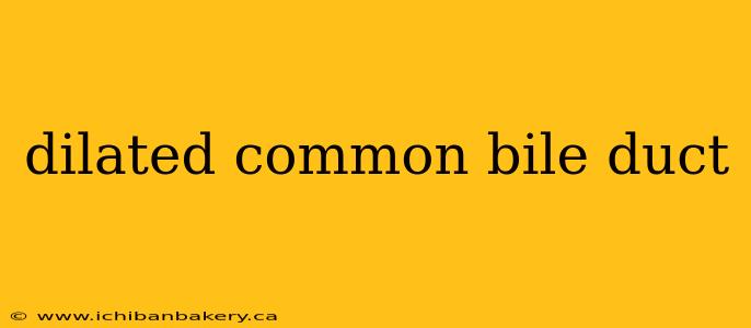 dilated common bile duct