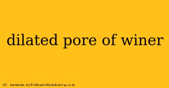 dilated pore of winer