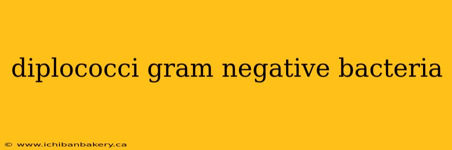 diplococci gram negative bacteria