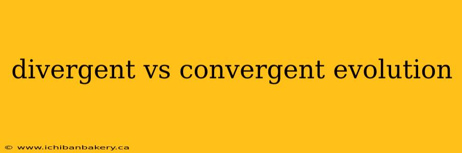 divergent vs convergent evolution