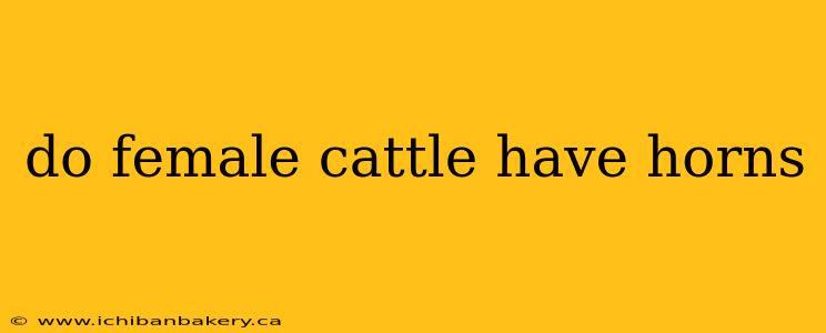 do female cattle have horns