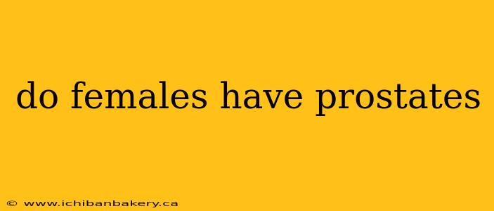do females have prostates