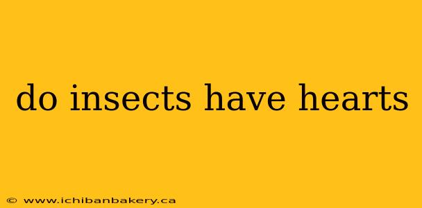 do insects have hearts