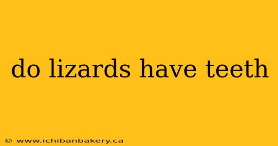 do lizards have teeth
