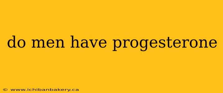 do men have progesterone