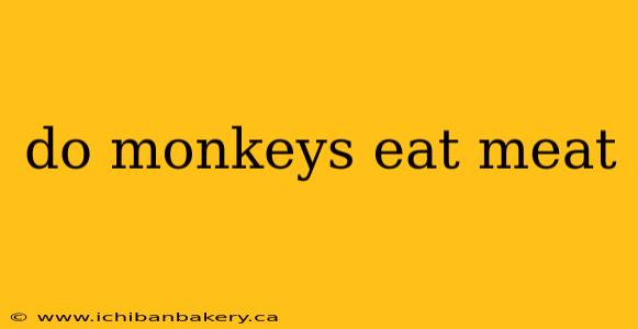 do monkeys eat meat