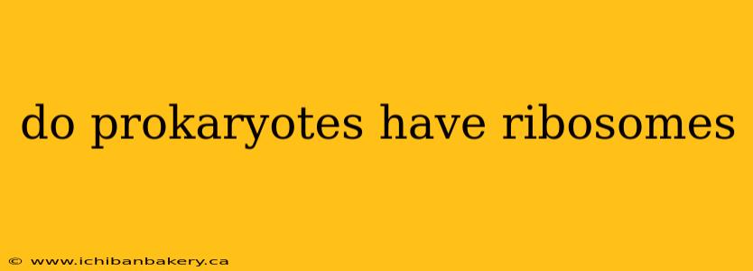 do prokaryotes have ribosomes