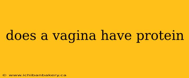 does a vagina have protein