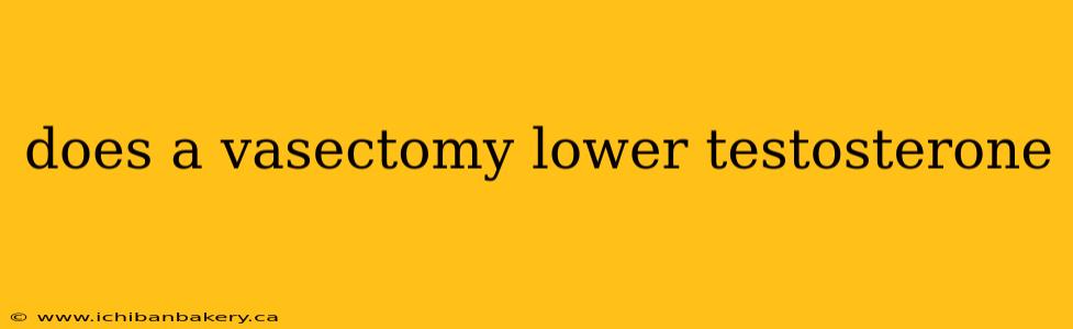 does a vasectomy lower testosterone