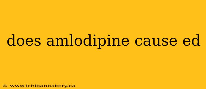 does amlodipine cause ed