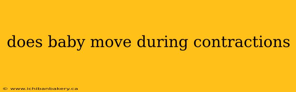 does baby move during contractions