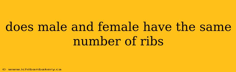 does male and female have the same number of ribs