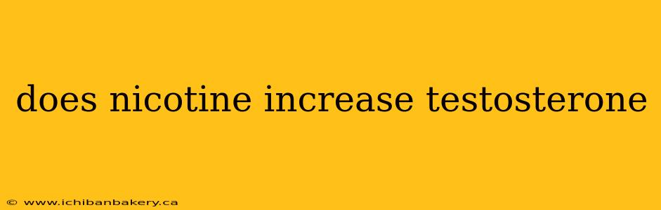 does nicotine increase testosterone
