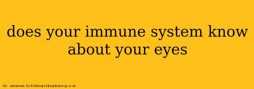 does your immune system know about your eyes