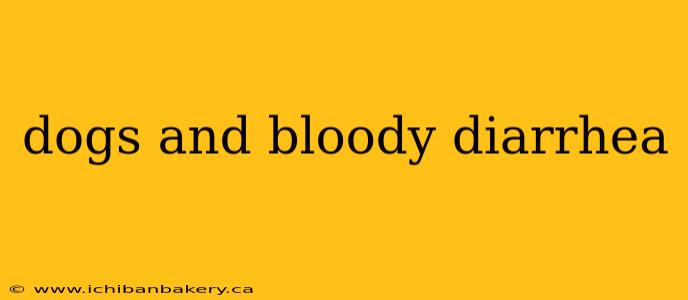 dogs and bloody diarrhea