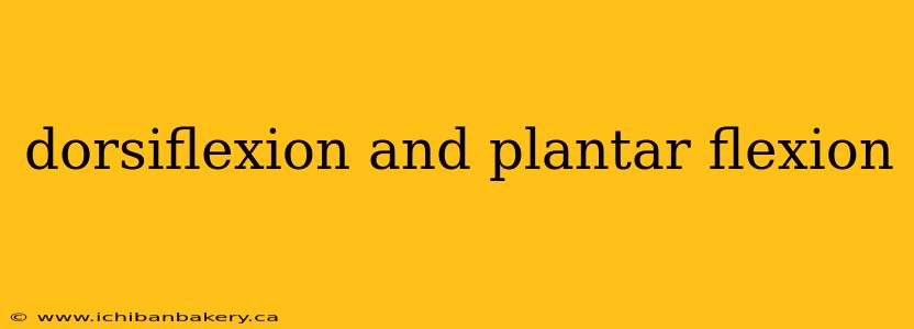 dorsiflexion and plantar flexion
