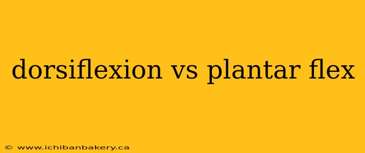 dorsiflexion vs plantar flex
