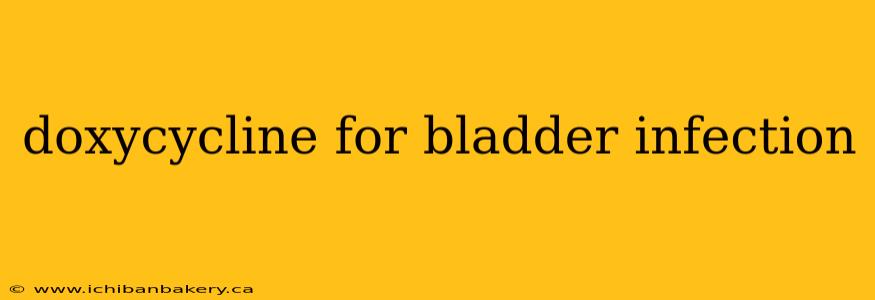 doxycycline for bladder infection