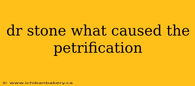 dr stone what caused the petrification