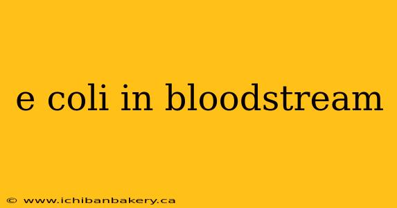 e coli in bloodstream