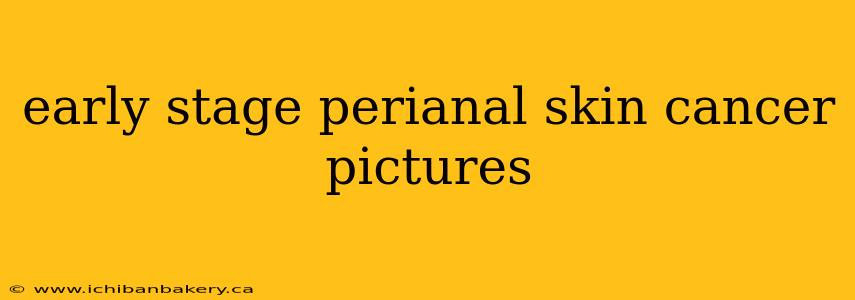 early stage perianal skin cancer pictures